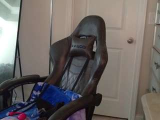 butterflybooty webcam model stream image