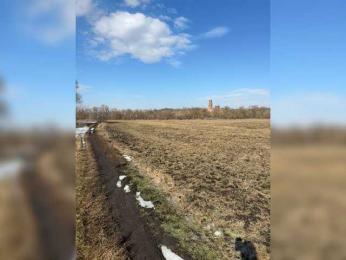 -Darinaa- webcam bongacams model stream image