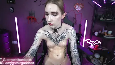 amywhitenessxx webcam model stream image