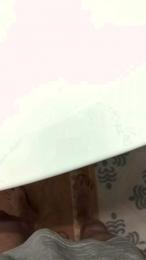 Lizard3 webcam model stream image