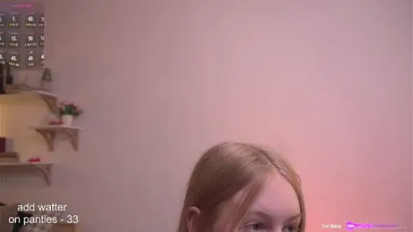 ViviRi webcam model stream image
