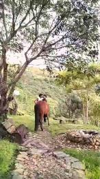 Remote_live webcam model stream image