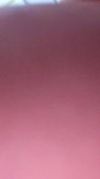 Shotime69altme webcam model stream image