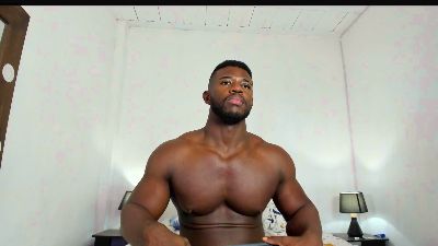 Max_flex webcam model stream image