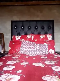 hoittytoittyxx webcam stripchat model stream image