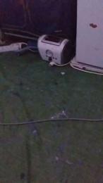 Petitebombe34 webcam cam4 model stream image