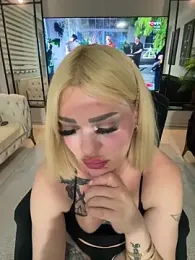 TS_sanida webcam model stream image