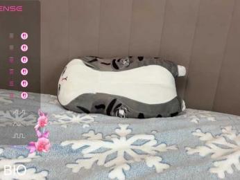 tinykisa webcam model stream image