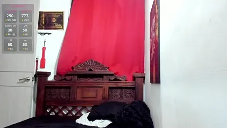 Canalwcs webcam model stream image