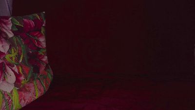 jamismu webcam model stream image