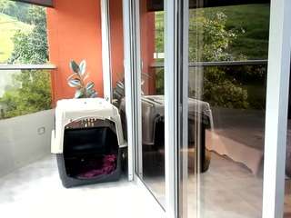 michellangels webcam model stream image