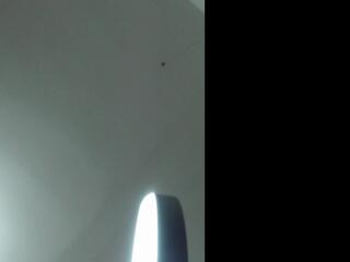 Keily Petite webcam model stream image