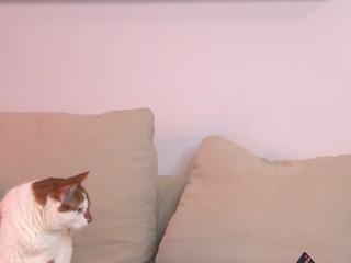 Sandy Hanson flirt4free stream image, 14.02.2025 06:40