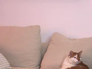 Sandy Hanson flirt4free stream image, 14.02.2025 06:40