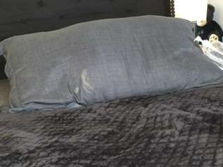 shawn-geni camsoda stream image