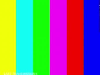 shopia_tony chaturbate stream image