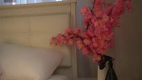 DawnAcreman stripchat stream image